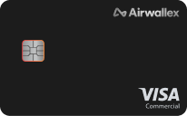 visa card